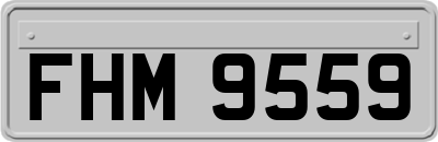 FHM9559