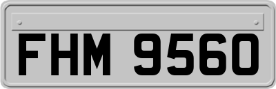 FHM9560