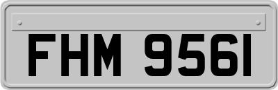 FHM9561