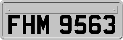 FHM9563