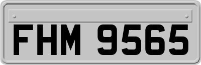 FHM9565