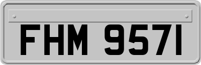 FHM9571