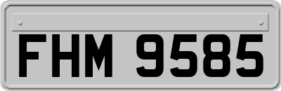 FHM9585