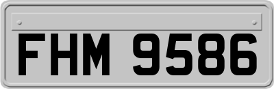 FHM9586