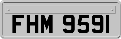 FHM9591