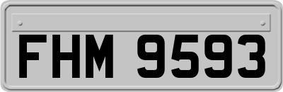 FHM9593