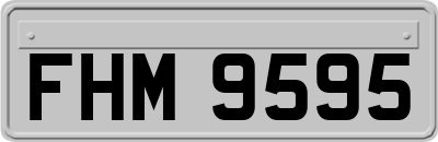 FHM9595