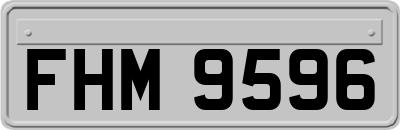 FHM9596