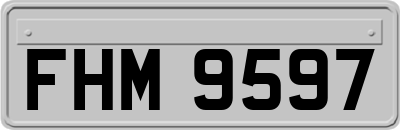 FHM9597