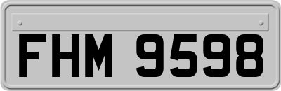 FHM9598