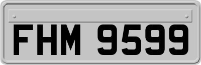 FHM9599