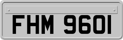 FHM9601