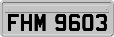 FHM9603