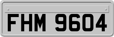 FHM9604