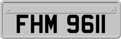 FHM9611