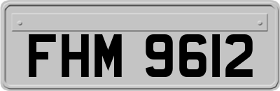 FHM9612