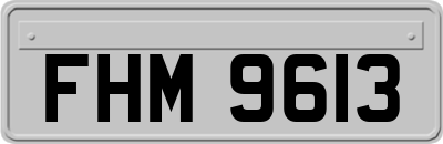 FHM9613