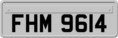 FHM9614