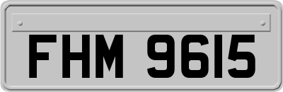 FHM9615