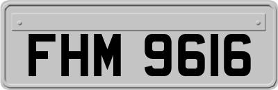 FHM9616