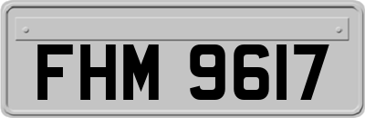 FHM9617