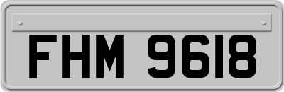 FHM9618