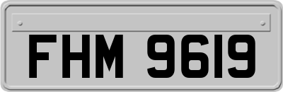 FHM9619