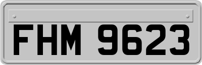 FHM9623