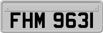 FHM9631