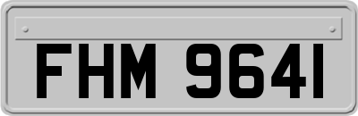 FHM9641