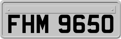 FHM9650