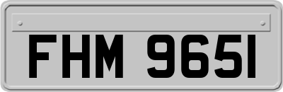FHM9651