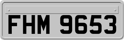 FHM9653