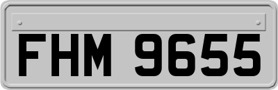 FHM9655