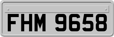 FHM9658