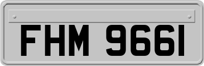 FHM9661