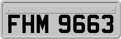 FHM9663