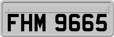 FHM9665