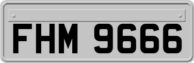 FHM9666