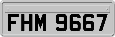 FHM9667