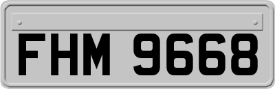 FHM9668