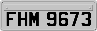 FHM9673