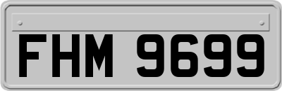 FHM9699