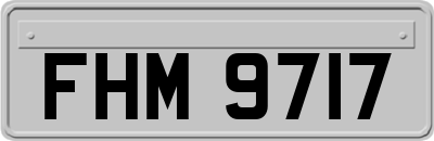 FHM9717