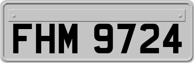 FHM9724