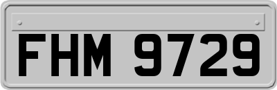 FHM9729