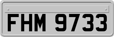 FHM9733