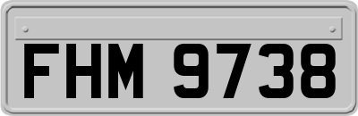 FHM9738