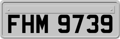 FHM9739