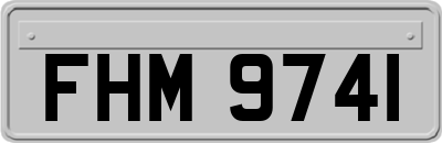 FHM9741